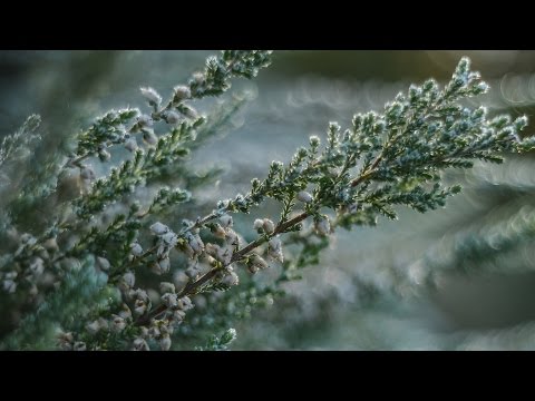 Chris Robleda - River [FREE DOWNLOAD]