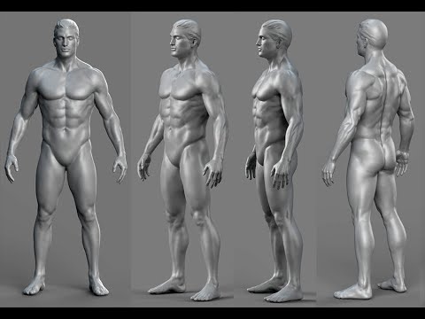Anatomy / Figure study in Zbrush