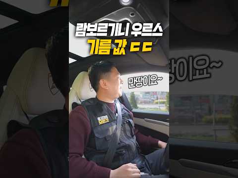 V8 람보르기니 만땅 얼마일까?