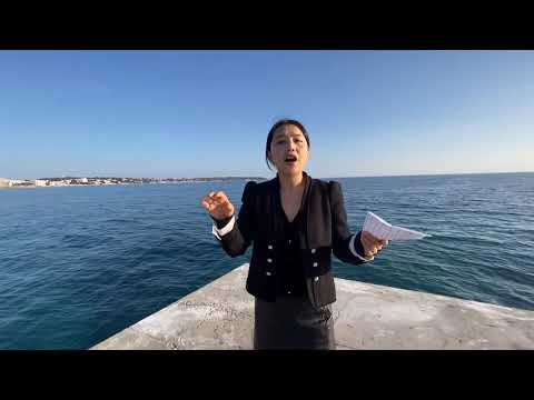 The Channel of Management