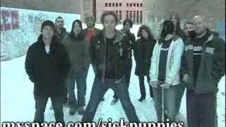 Sick Puppies, Dropping Daylight, Saving Abel - ON TOUR NOW!