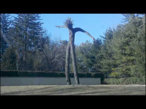 Mykal Rose--Shootout ft Damian Marley