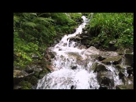 Izabela Szurman (Ziutka) - W górę Kroczę...