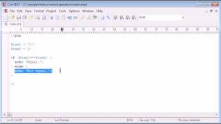 Beginner PHP Tutorial - 24 - Triple Equals