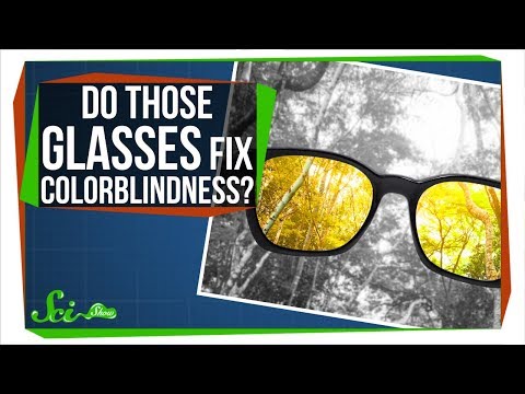 Do Those Glasses Really Fix Colorblindness?