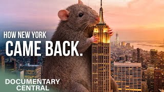The Fall and Rise of New York | How New York turned from Failing Slum to Thriving City