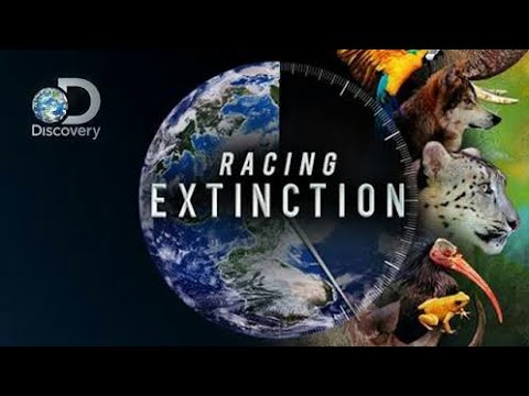Racing extinction: vida em extinção (dublado)