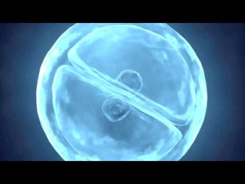 Danny O and Thallie Ann Seenyen - Sun Down (Karuva Remix)