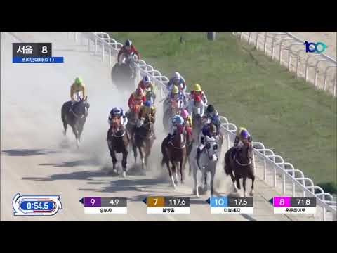 KOREAN DERBY 2022 WINNER STAR Đorđe Perović