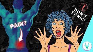 FEAR = BACK PAIN | Low Back Pain Education (PART 1/7)