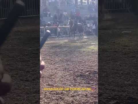 fogo do lobo mau na cavalgada em Bom Jesus do Amparo interior de Minas Gerais