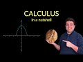 History of Calculus: Part 1 - Calculus in a Nutshell