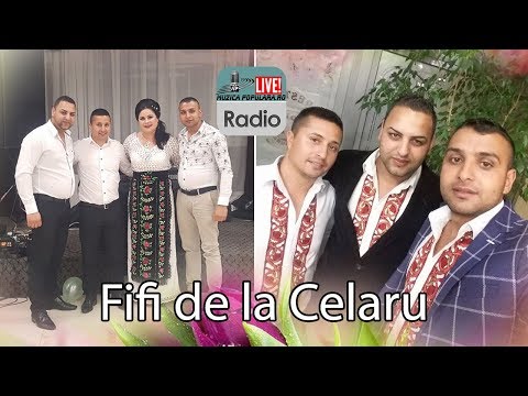 FIFI DE LA CELARU - SI UNA SI DOUA NOU 2019 COLAJ LIVE  MUZICA DE PETRECERE