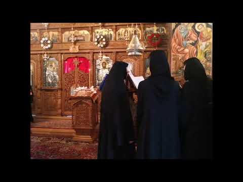 20191110 NICOLAE BALASOIU –  PILDA SAMARINEANULUI MILOSTIV