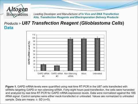 Altogen Biosystems U87 Transfection Reagent