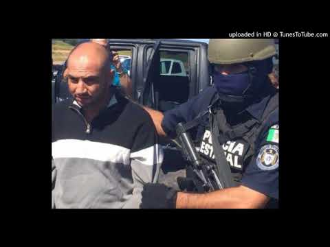 La Captura De La Rana🐸(RV15) - Legado Imperial CORRIDOS 2024