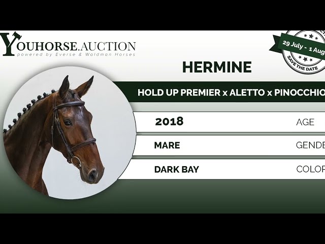 Hermine @ show grass