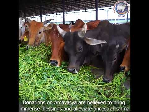 About Krishnayan Video Thumbnail