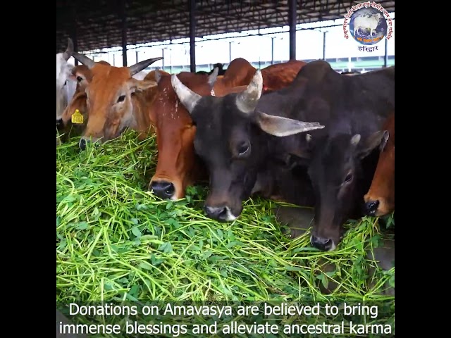 About Krishnayan Video Thumbnail