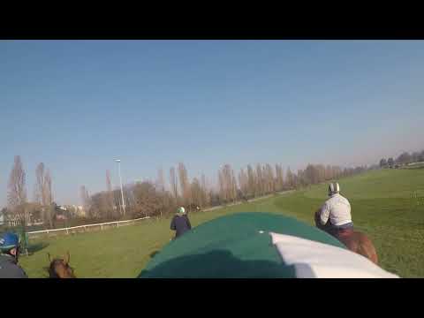 All.su erba First Racing allenatore Antonio Marcialis