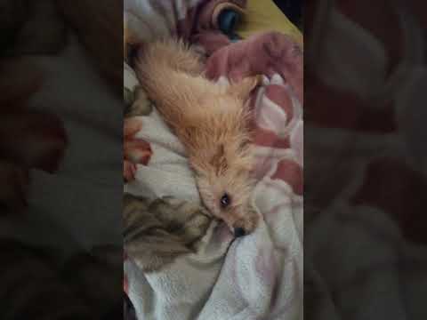 #pumpkin #happy baby