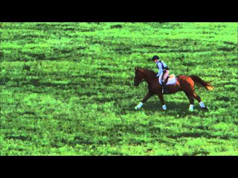 Emily Donaldson "Beaujolais 75" Plantation Field Horse Trials, XC/N 6/6/2015