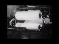 From Trees To Paper Ca 1955