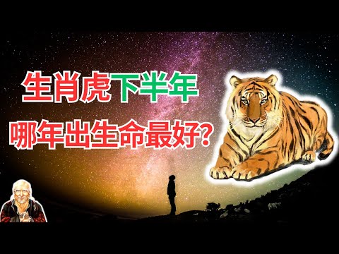 屬虎今年運勢