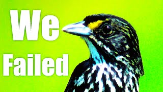 How We Failed to Save the Dusky Seaside Sparrow