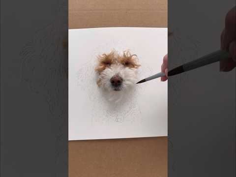 My most realistic pet portrait yet 😄💕