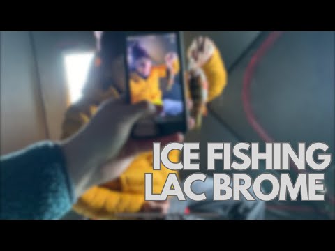 Two day Ice Fishing Lac Brome Quebec 2024