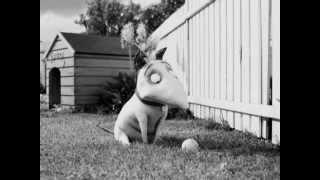 Neon Trees - Electric Heart (Stay Forever) + lyrics