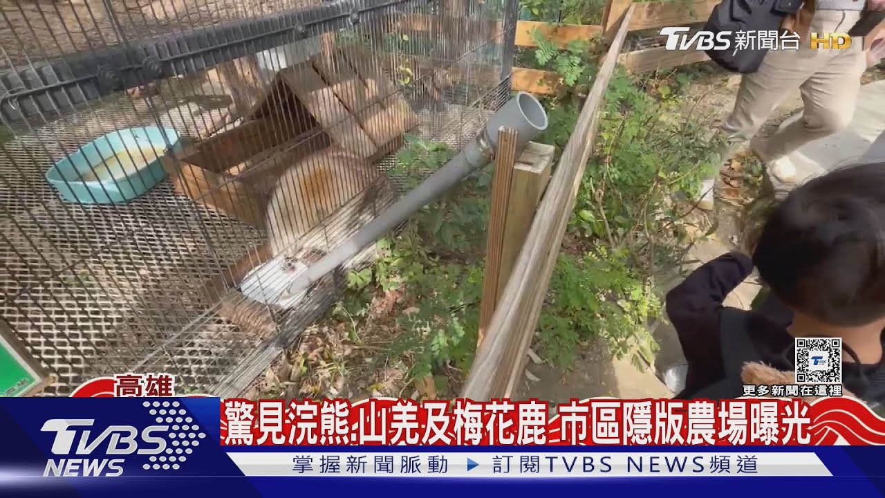 網評4顆星!山區88年私人樂園 隱藏版景點曝光