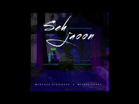 Murtaza Qizilbash | SEH JAOON (feat. Mishal Shafi) | Official Audio
