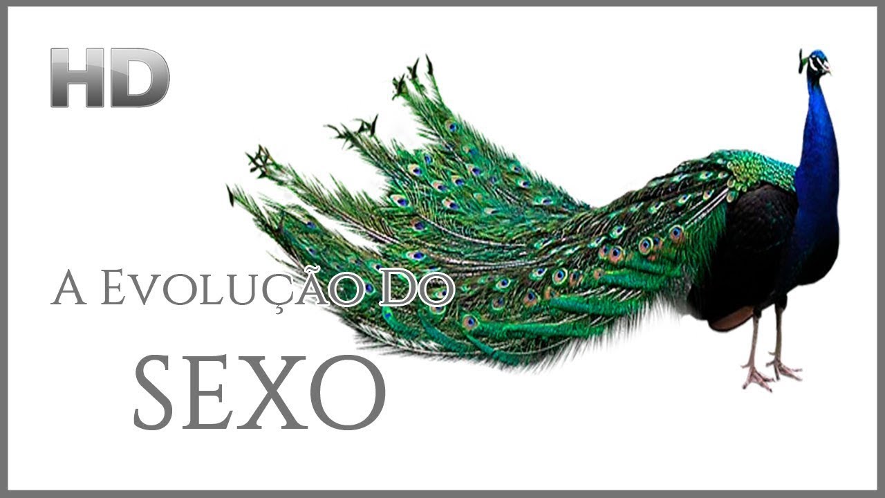 A Evolução do SEXO (Dublado)