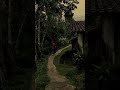 Story Wa 30 Detik Story Wa Suasana Pedesaan Subuh Shorts Suasanapedesaan