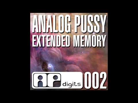 Analog Pussy - Extended Memory