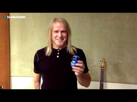 Steve Morse Flashback Mini Delay