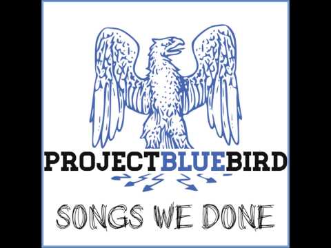 Project Bluebird - The Fight
