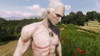 Witcher 3