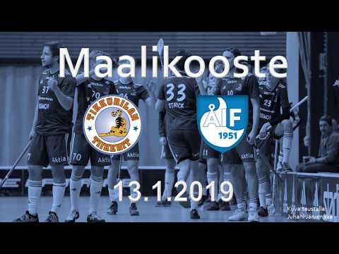 Maalikooste: Tiikerit - ÅIF 13.01.2019