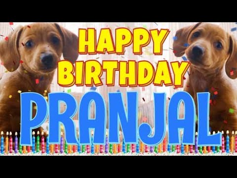Happy Birthday Pranjal! ( Funny Talking Dogs ) What Is Free On My Birthday