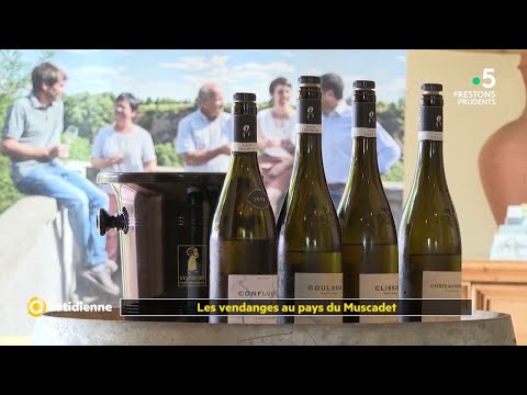 À la découverte des terres du Muscadet en Loire-Atlantique - La Quotidienne