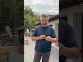 České hity živě