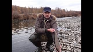 Рыбалка на хилке в забайкальском крае