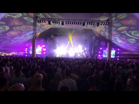 BRAINS - Leave My Mark - VOLT Fesztivál, 2019