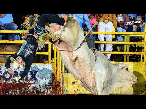 FINAL do Rodeio de Ouro Verde do Oeste PR 2024 ao vivo