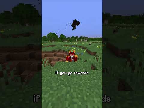 Unbelievable Minecraft Seed Discovery!
