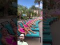 Poolparty Pool Funny