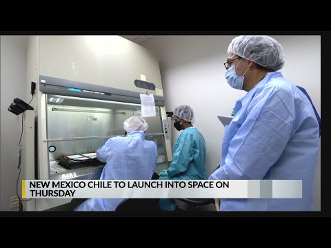Española chile seeds going to International Space Station